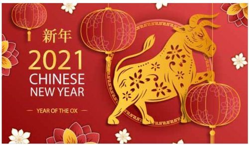 河南盛順凱新型建筑材料有限公司祝大家新年快樂，牛年更比一年牛！